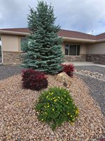 1285 Peppertree Drive, Montrose, CO 81401