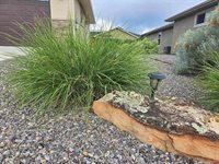 1285 Peppertree Drive, Montrose, CO 81401