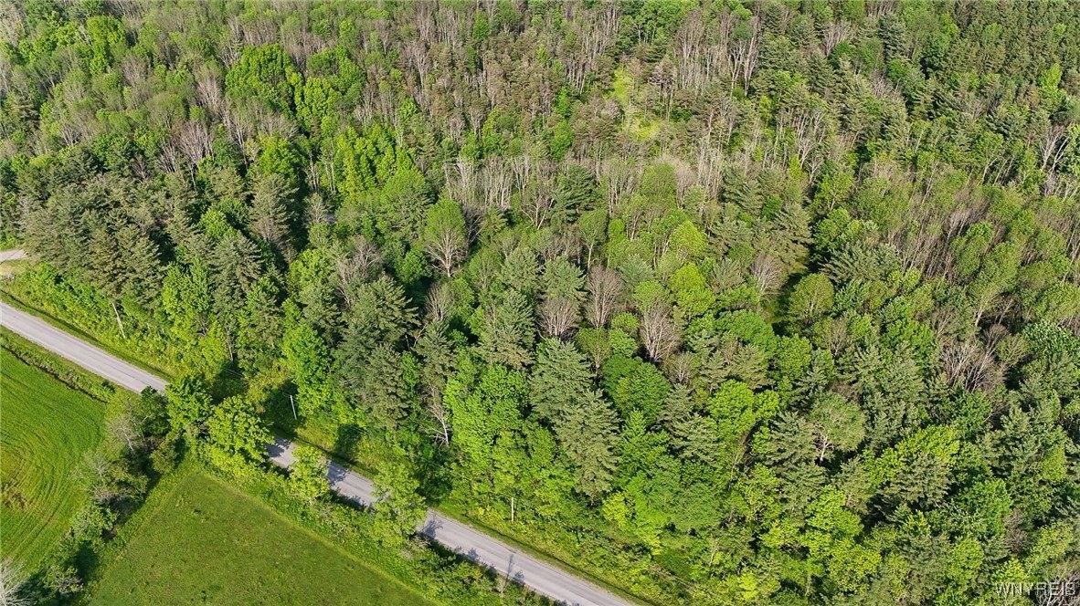 00 Lamont Road, Angelica, NY 14709