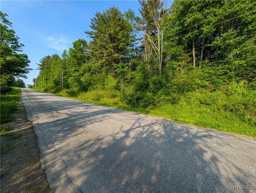 00 Lamont Road, Angelica, NY 14709