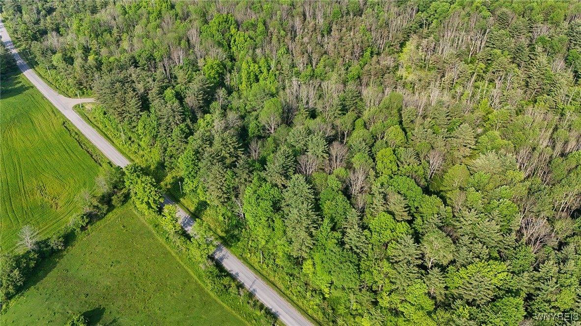 00 Lamont Road, Angelica, NY 14709