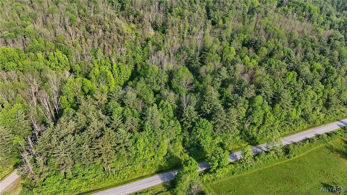 00 Lamont Road, Angelica, NY 14709