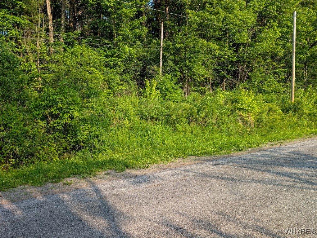 00 Lamont Road, Angelica, NY 14709