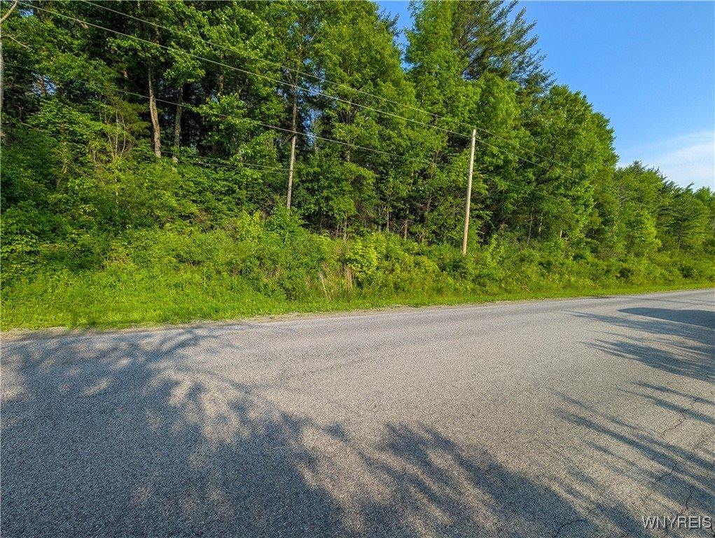 00 Lamont Road, Angelica, NY 14709