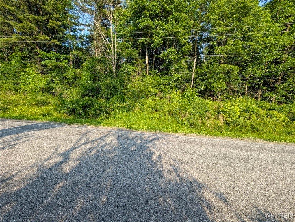 00 Lamont Road, Angelica, NY 14709