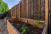 3132 Cross Canyon Lane, Grand Junction, CO 81504