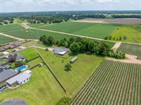 404 Camelot Hill Drive, Youngsville, LA 70592