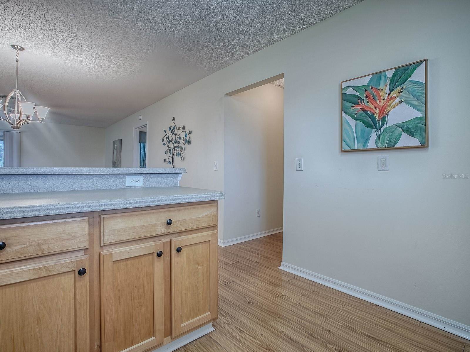 2799 Privada Drive, The Villages, FL 32162