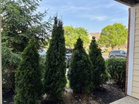 3839 Carberry Drive, Dublin, OH 43016