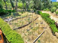 12064 Creek View Drive, Grass Valley, CA 95949