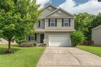 233 Eagle Pointe Drive, Chapin, SC 29036