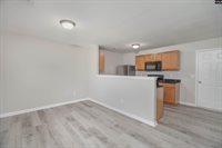 233 Eagle Pointe Drive, Chapin, SC 29036