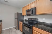 233 Eagle Pointe Drive, Chapin, SC 29036