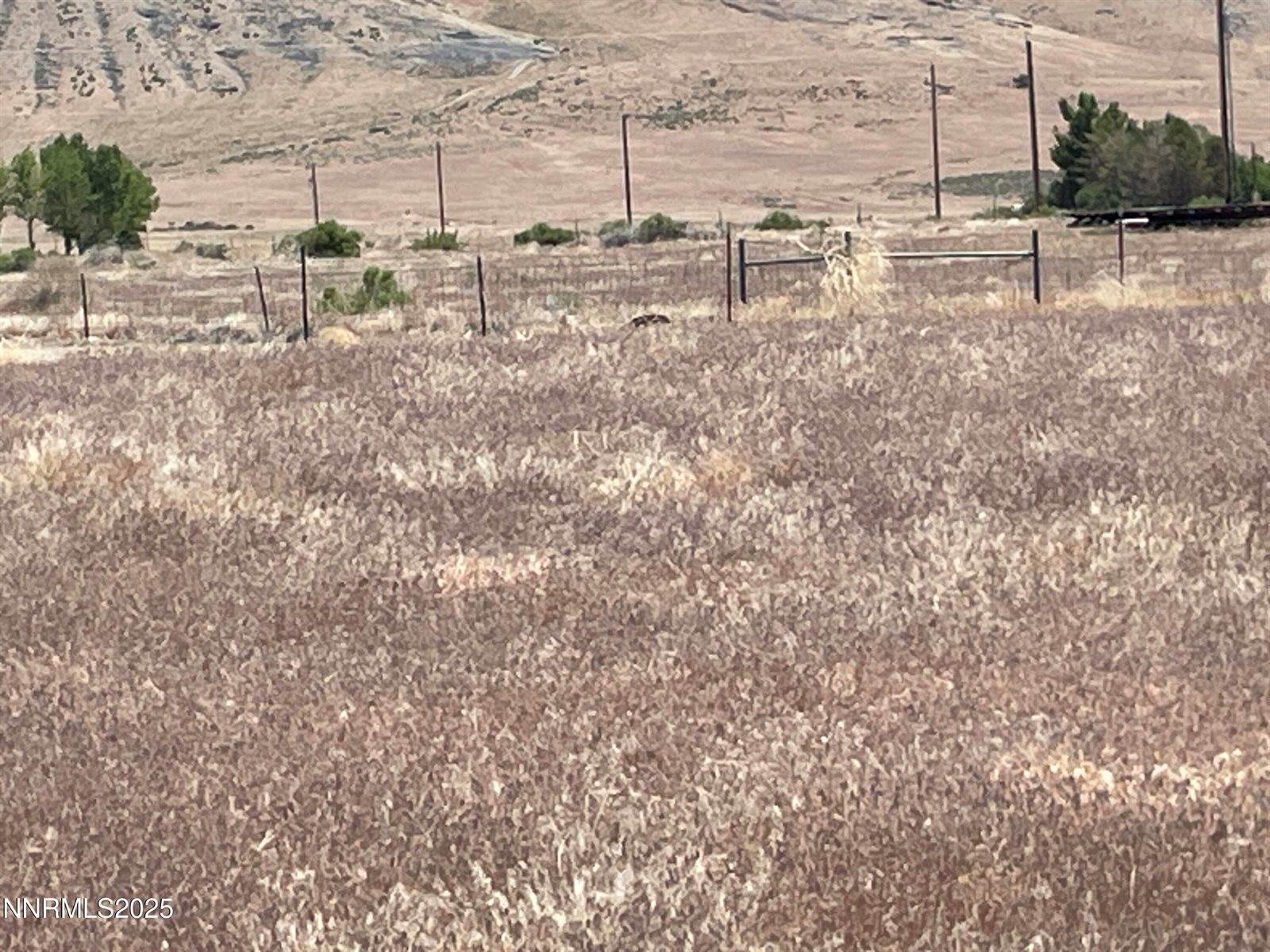 5705 Wren Street, Winnemucca, NV 89445