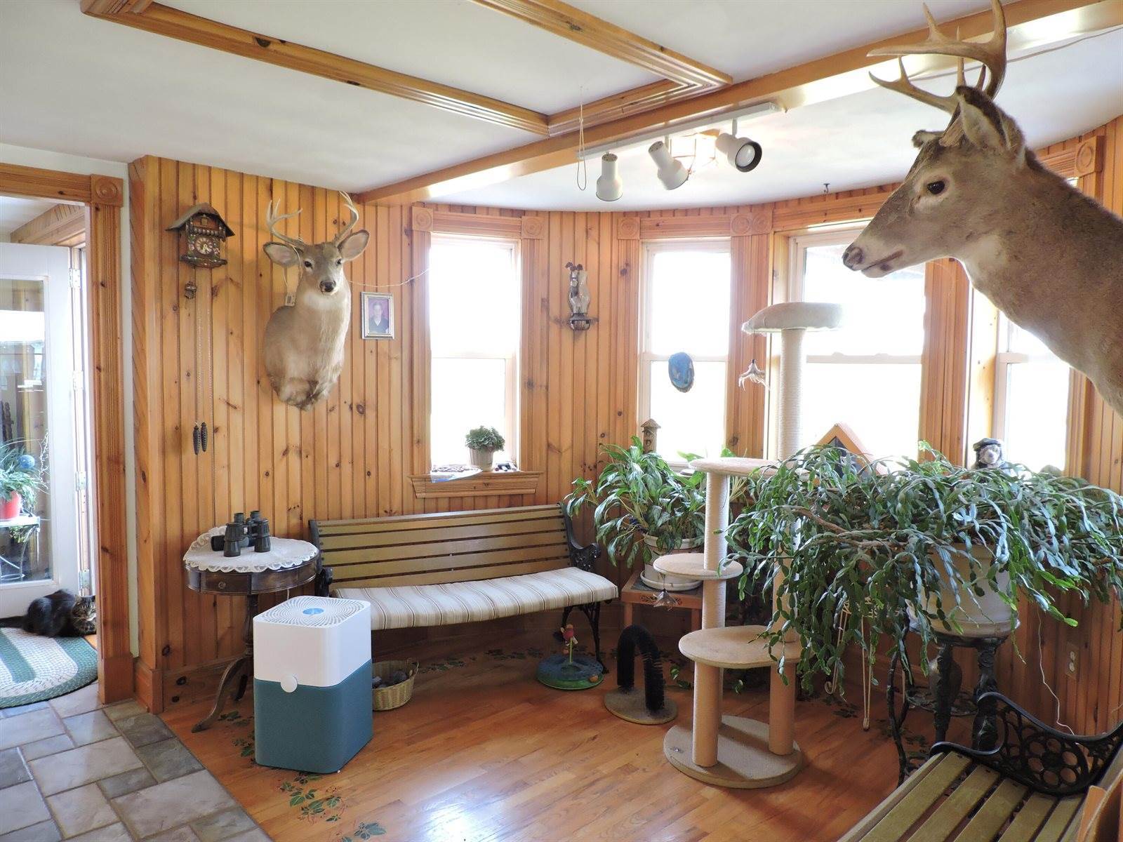 389 Oxbow Road, Cornville, ME 04976