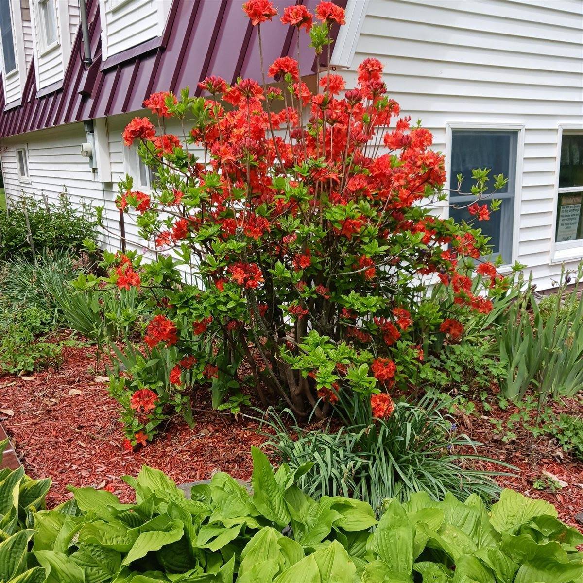 389 Oxbow Road, Cornville, ME 04976