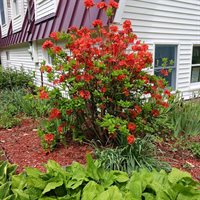 389 Oxbow Road, Cornville, ME 04976