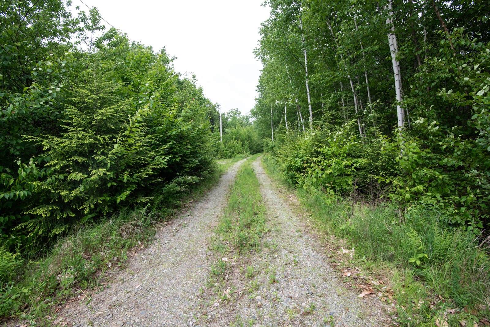 3 Salmon Point Lane, Enfield, ME 04493