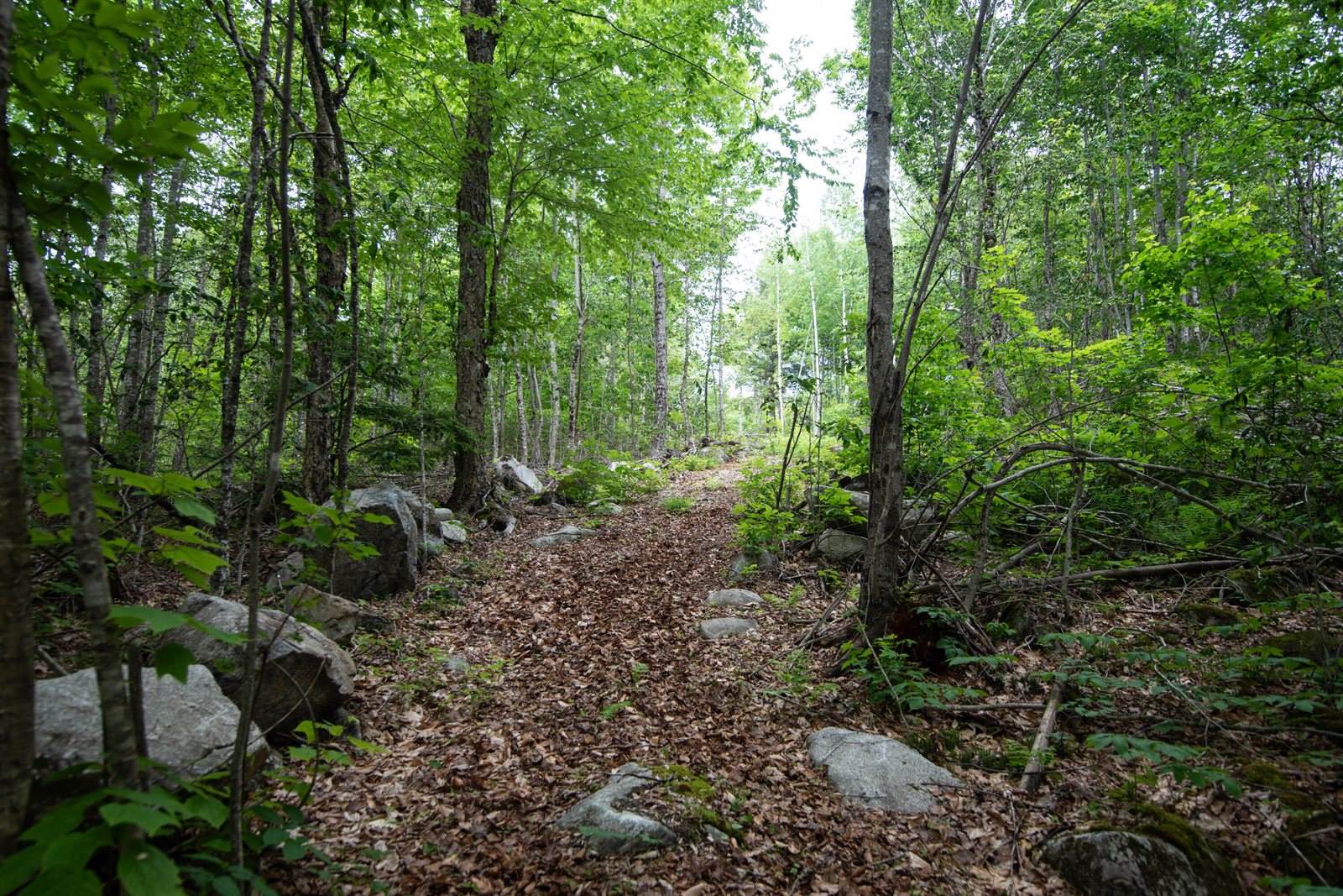 3 Salmon Point Lane, Enfield, ME 04493