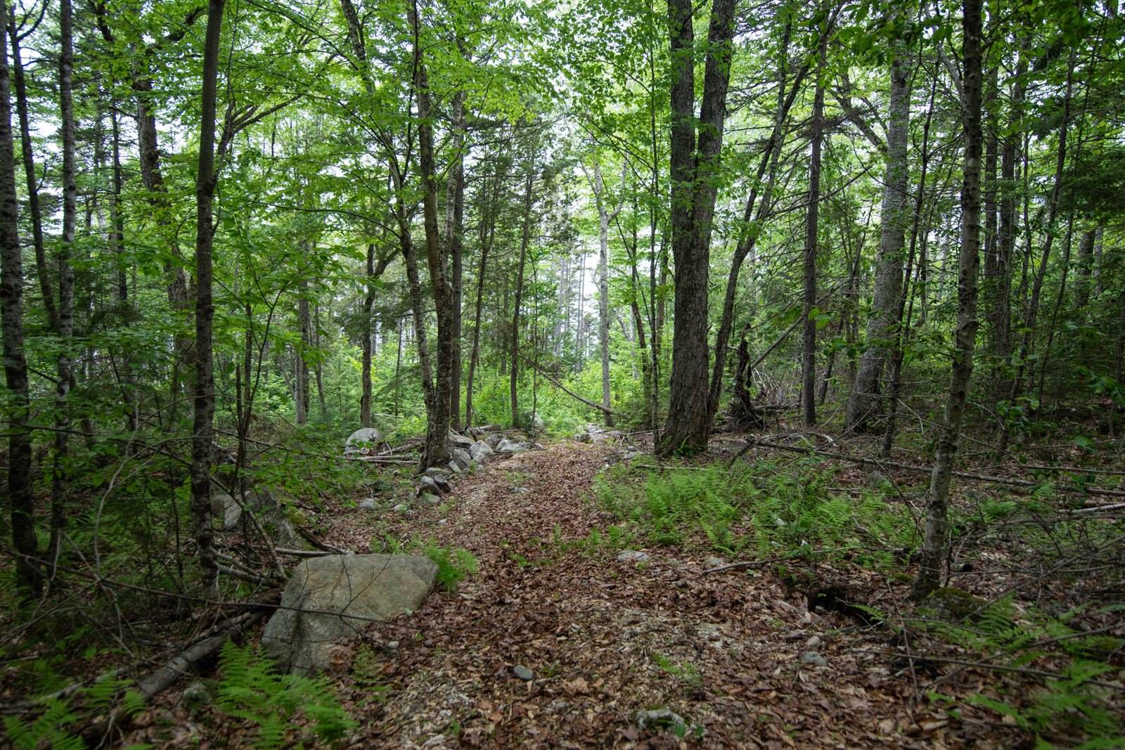 3 Salmon Point Lane, Enfield, ME 04493