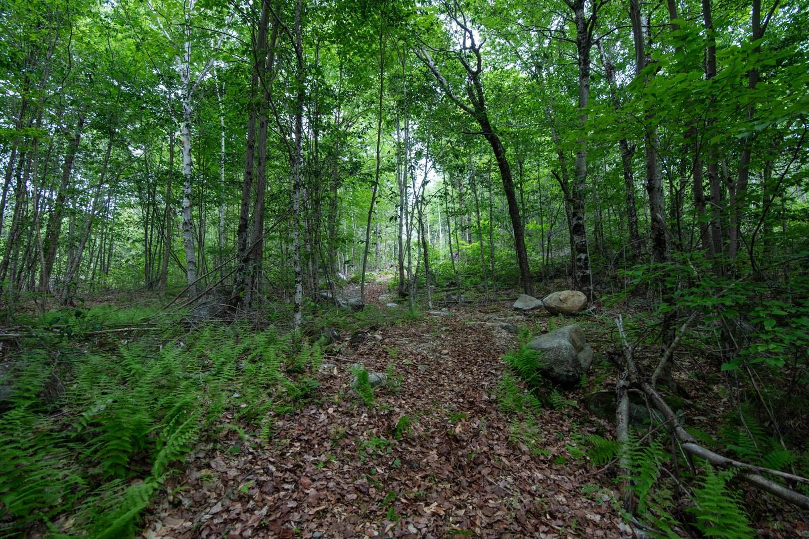 3 Salmon Point Lane, Enfield, ME 04493