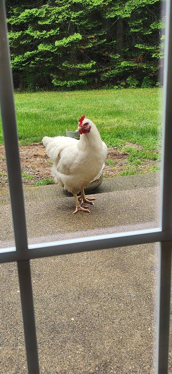 32 Nickerson Road, Searsport, ME 04974