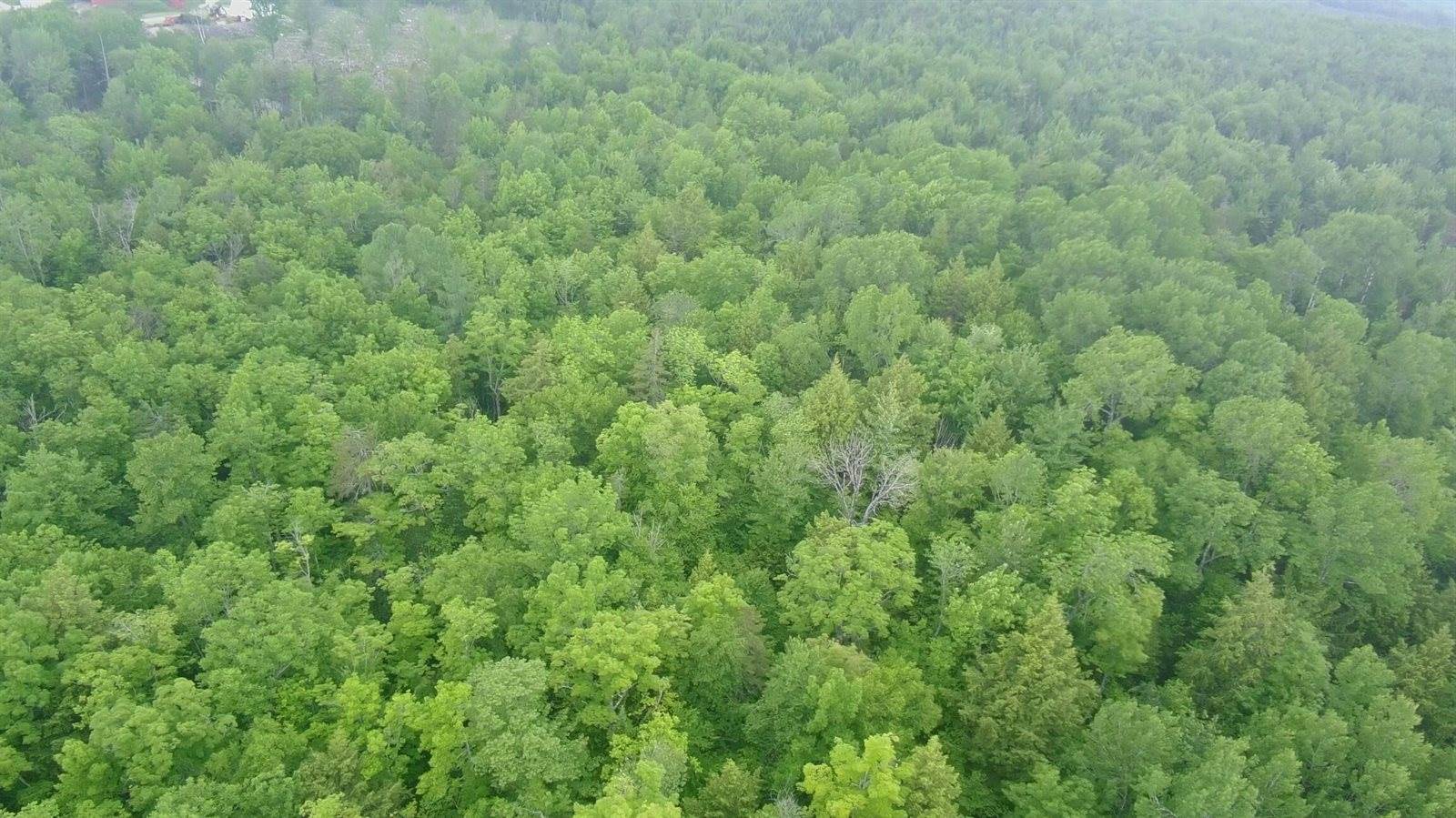 TBD Baird Road, Wellington, ME 04942