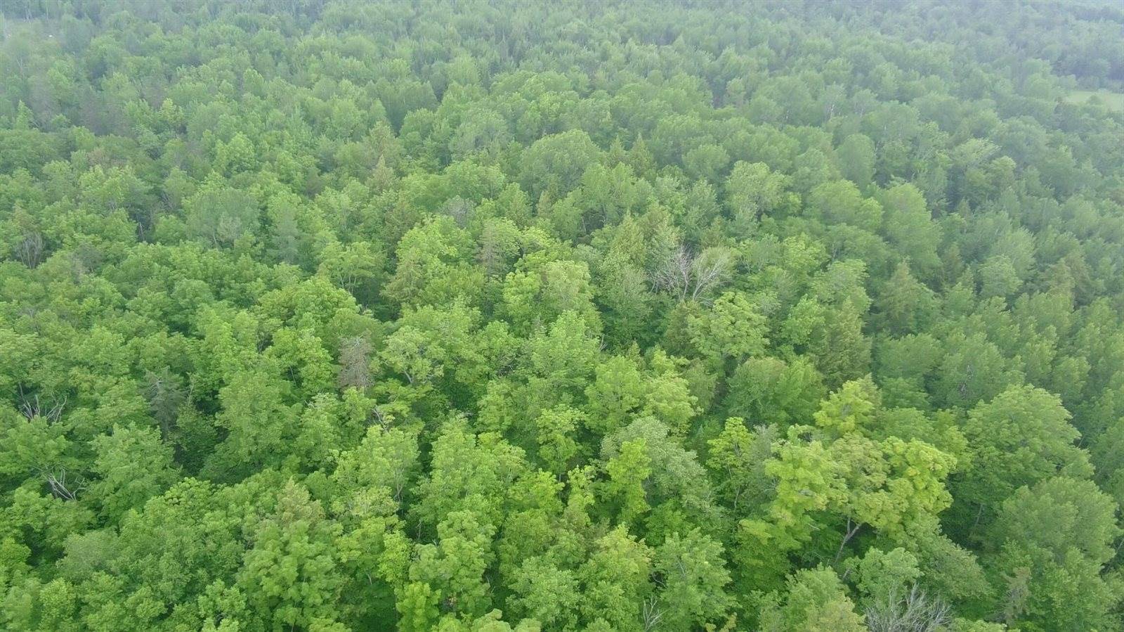 TBD Baird Road, Wellington, ME 04942