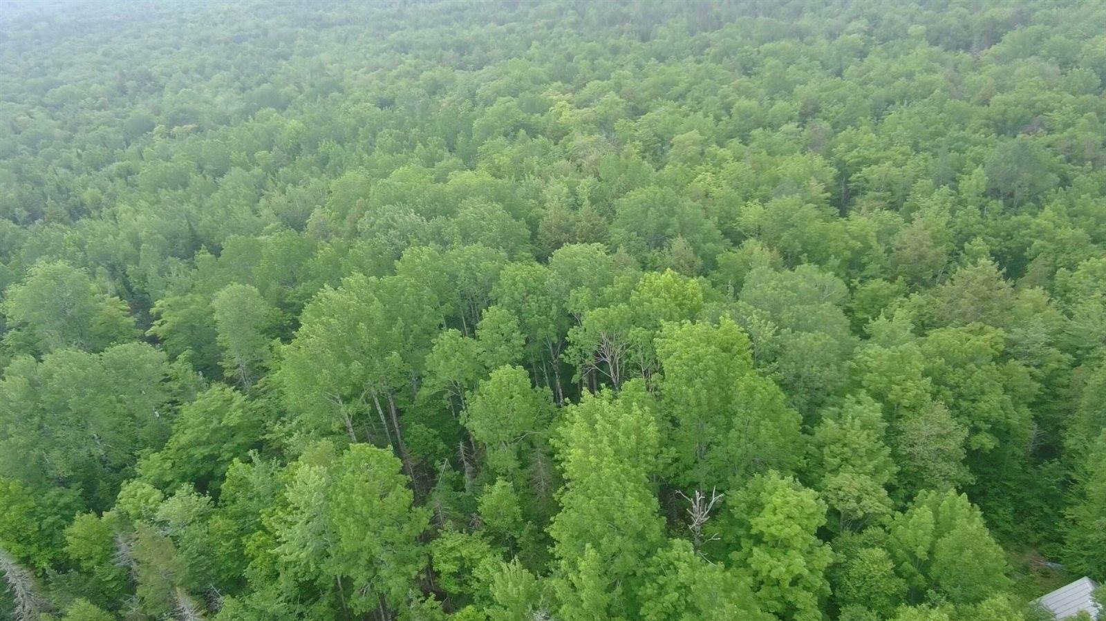 TBD Baird Road, Wellington, ME 04942