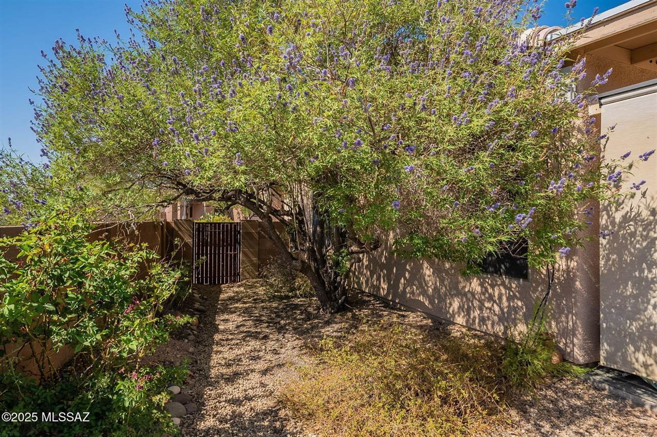 3979 West Prosperity Mine Place, Tucson, AZ 85745