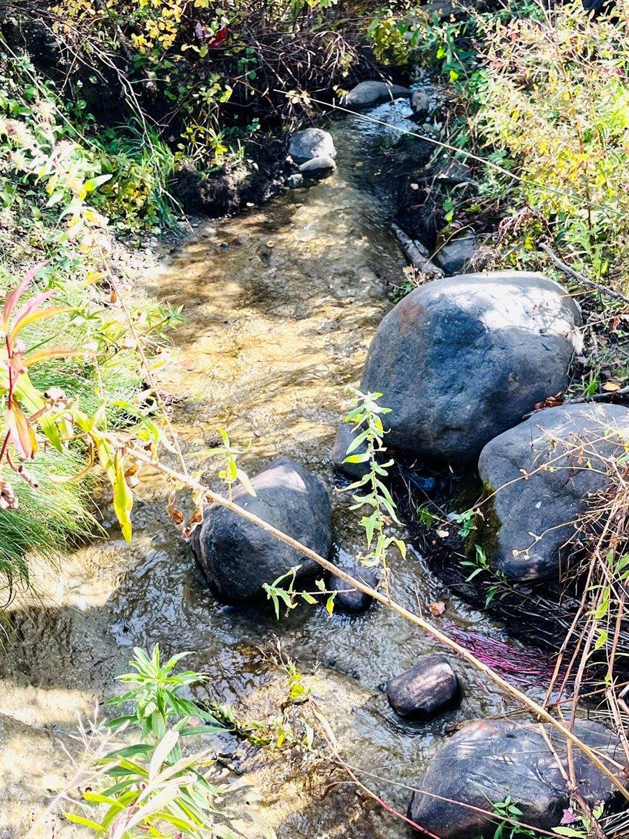 486 Main Street, Orono, ME 04473