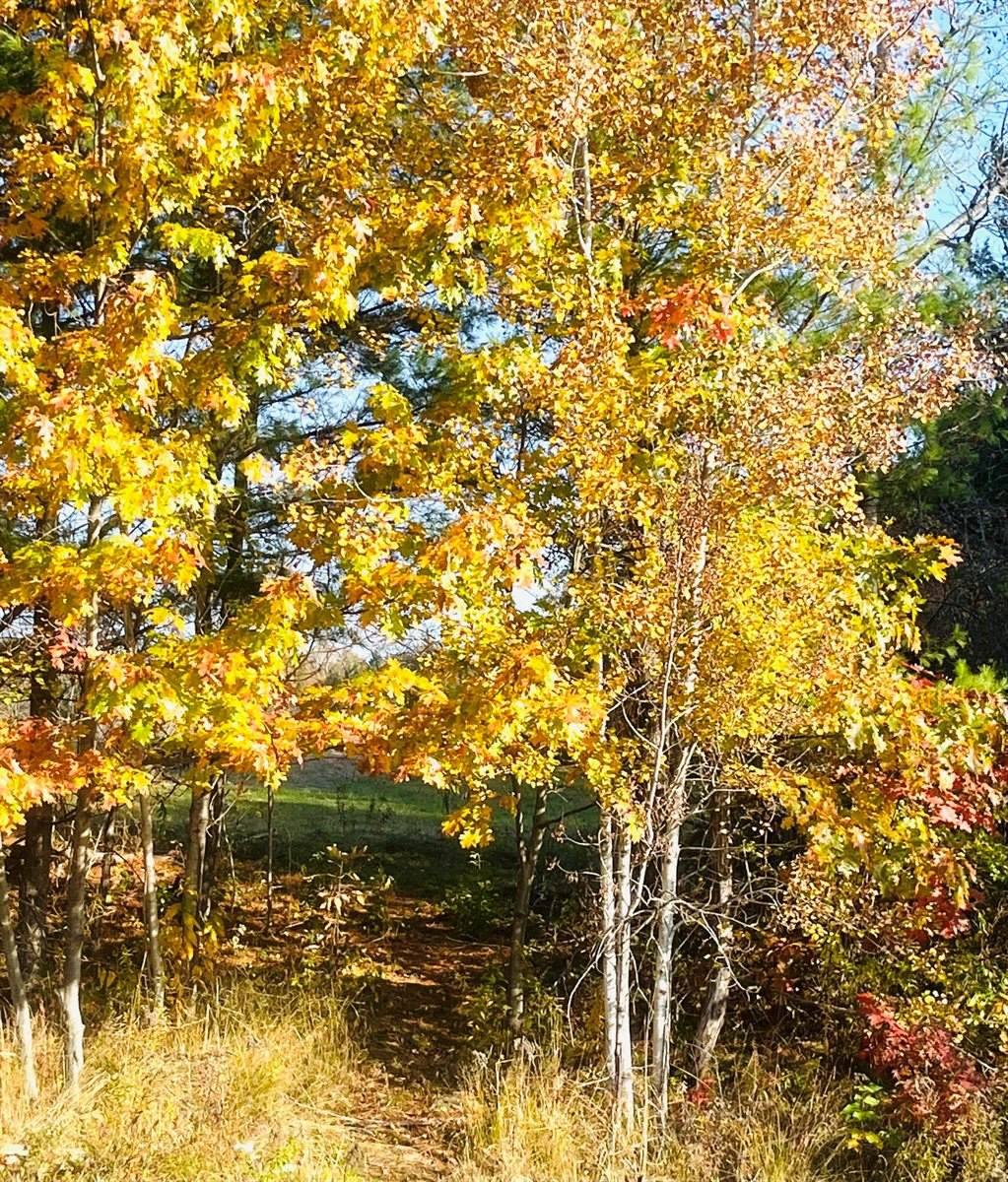 486 Main Street, Orono, ME 04473