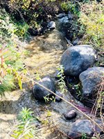 486 Main Street, Orono, ME 04473