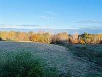 486 Main Street, Orono, ME 04473