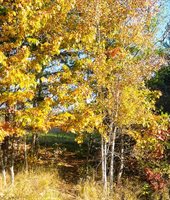 486 Main Street, Orono, ME 04473