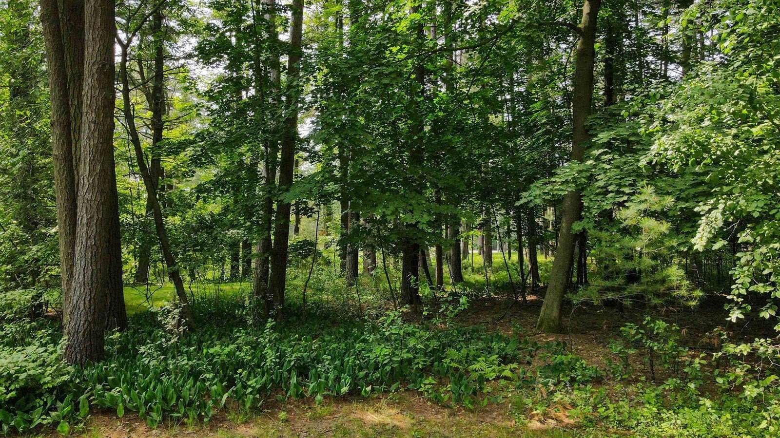 452 Woodland Drive, Wisconsin Rapids, WI 54494