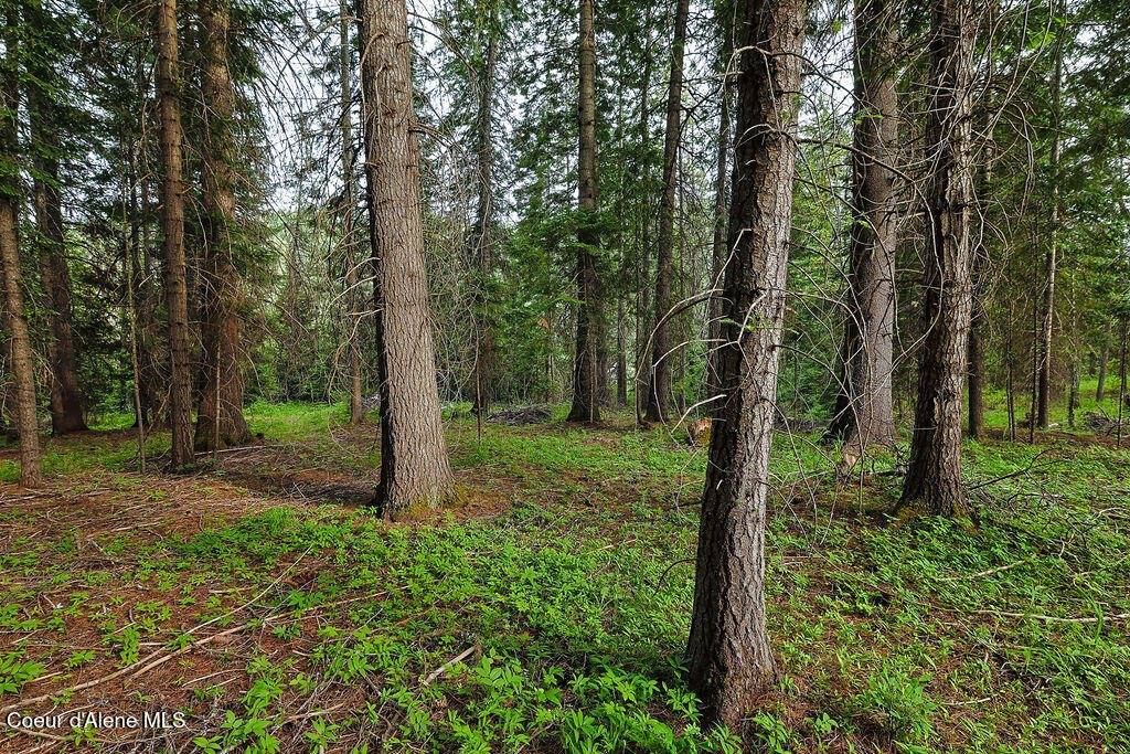 164 West Fork Pine Creek Rd, Pinehurst, ID 83850