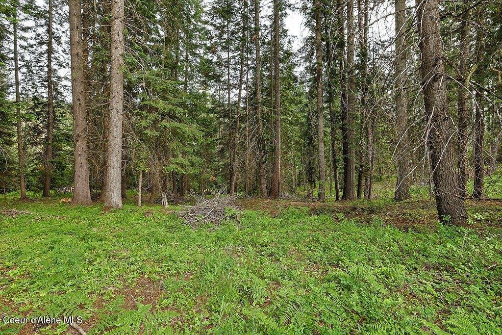 164 West Fork Pine Creek Rd, Pinehurst, ID 83850