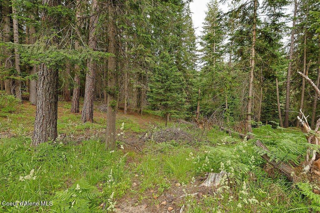 164 West Fork Pine Creek Rd, Pinehurst, ID 83850