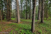 164 West Fork Pine Creek Rd, Pinehurst, ID 83850