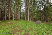 164 West Fork Pine Creek Rd, Pinehurst, ID 83850