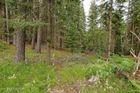 164 West Fork Pine Creek Rd, Pinehurst, ID 83850