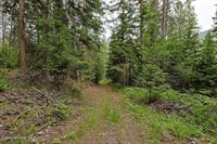 164 West Fork Pine Creek Rd, Pinehurst, ID 83850