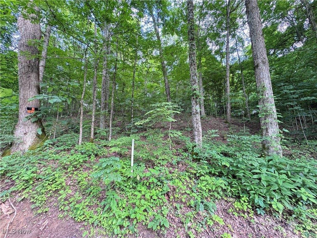 50530 Wargo Road, Caldwell, OH 43724