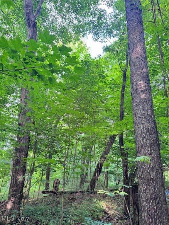 50530 Wargo Road, Caldwell, OH 43724