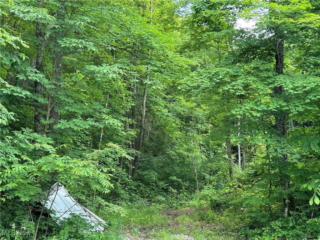 50530 Wargo Road, Caldwell, OH 43724