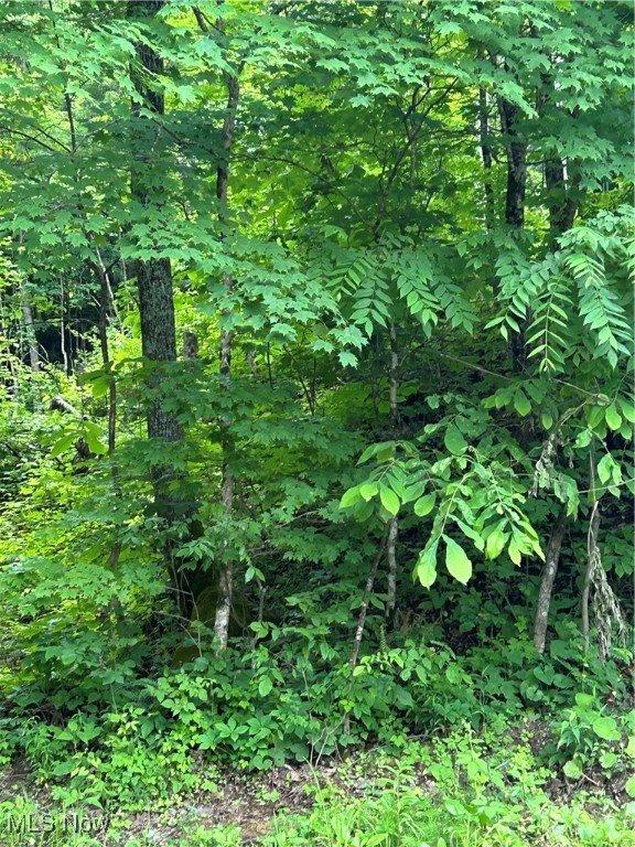 50530 Wargo Road, Caldwell, OH 43724