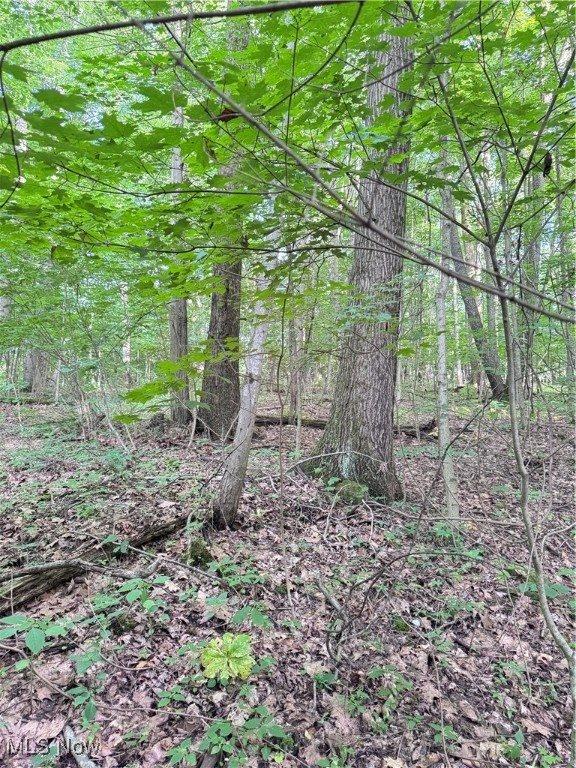 50530 Wargo Road, Caldwell, OH 43724