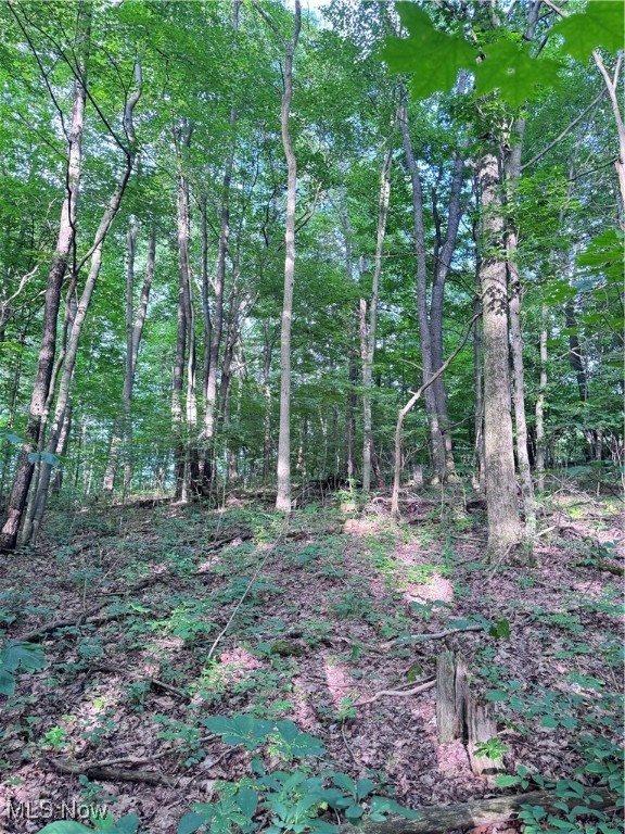 50530 Wargo Road, Caldwell, OH 43724