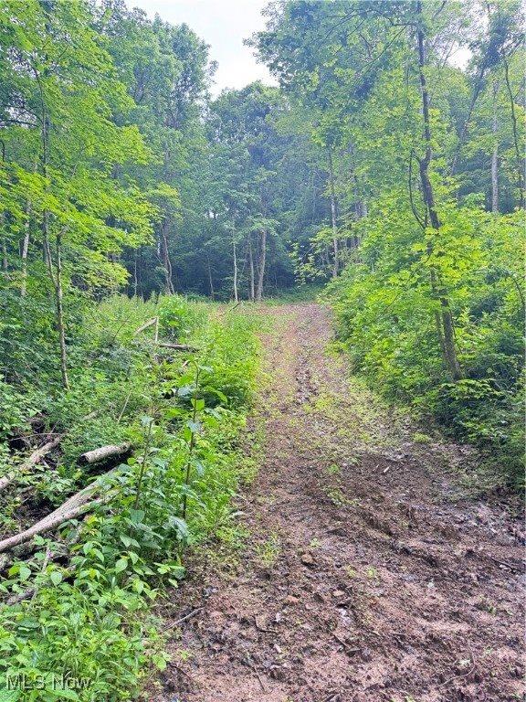 50530 Wargo Road, Caldwell, OH 43724